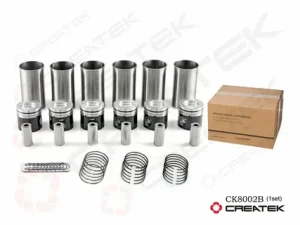 Поршневая группа WD615E2-3A/D10 HUATAIZHONGKA
